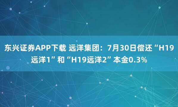 东兴证券APP下载 远洋集团：7月30日偿还“H19远洋1”和“H19远洋2”本金0.3%