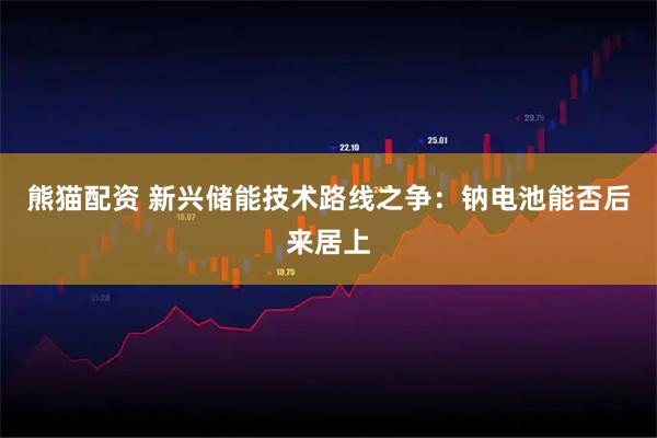 熊猫配资 新兴储能技术路线之争：钠电池能否后来居上