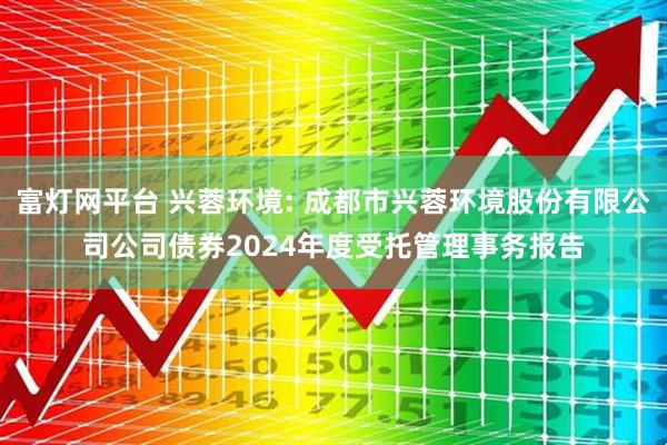 富灯网平台 兴蓉环境: 成都市兴蓉环境股份有限公司公司债券2024年度受托管理事务报告
