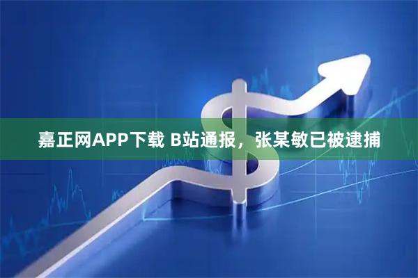 嘉正网APP下载 B站通报，张某敏已被逮捕