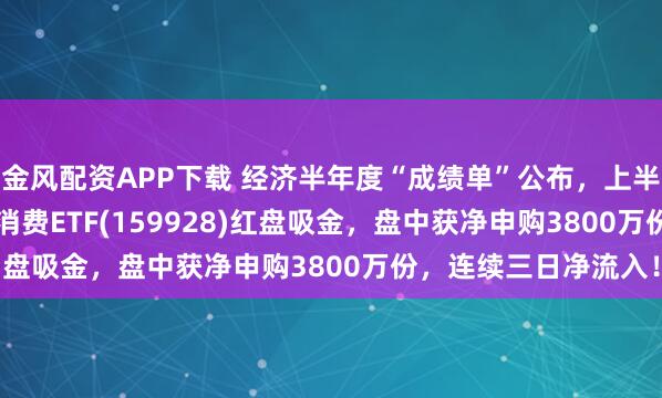 金风配资APP下载 经济半年度“成绩单”公布，上半年GDP同增5.3%！消费ETF(159928)红盘吸金，盘中获净申购3800万份，连续三日净流入！