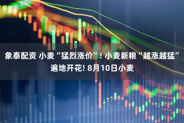 象泰配资 小麦“猛烈涨价”! 小麦新粮“越涨越猛”遍地开花! 8月10日小麦