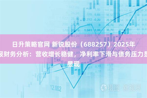 日升策略官网 新锐股份（688257）2025年中报财务分析：营收增长稳健，净利率下滑与债务压力显现