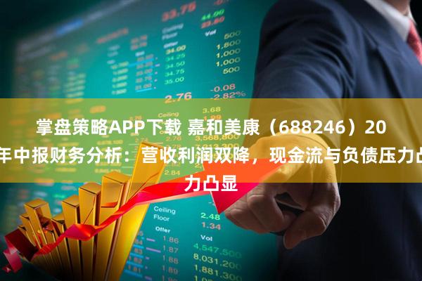 掌盘策略APP下载 嘉和美康（688246）2025年中报财务分析：营收利润双降，现金流与负债压力凸显