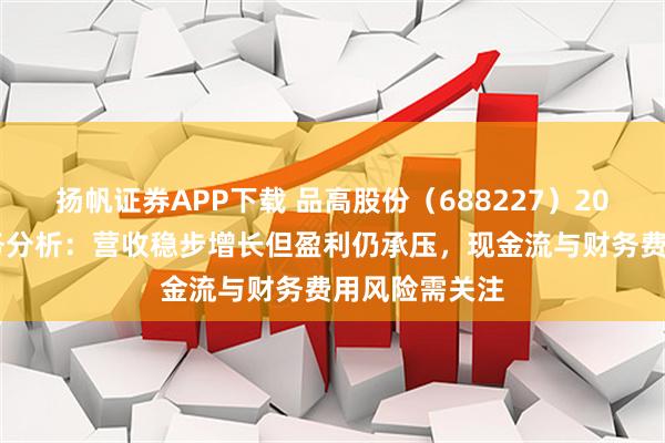 扬帆证券APP下载 品高股份（688227）2025年中报财务分析：营收稳步增长但盈利仍承压，现金流与财务费用风险需关注
