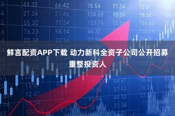 鲜言配资APP下载 动力新科全资子公司公开招募重整投资人